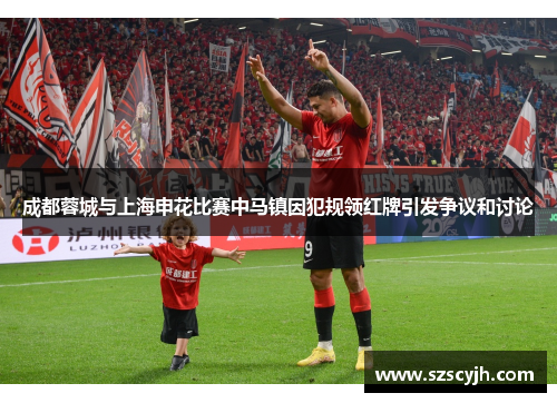 成都蓉城与上海申花比赛中马镇因犯规领红牌引发争议和讨论