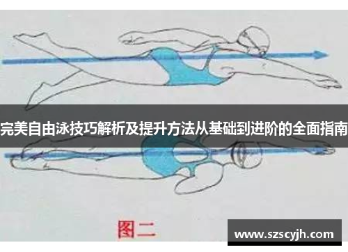 完美自由泳技巧解析及提升方法从基础到进阶的全面指南