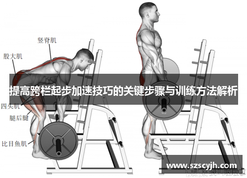 提高跨栏起步加速技巧的关键步骤与训练方法解析