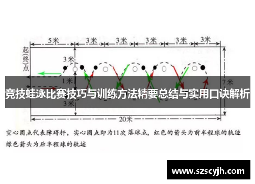 竞技蛙泳比赛技巧与训练方法精要总结与实用口诀解析