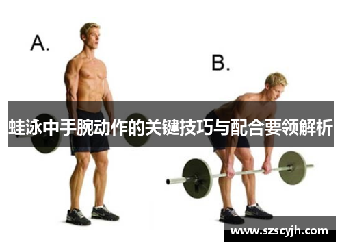 蛙泳中手腕动作的关键技巧与配合要领解析