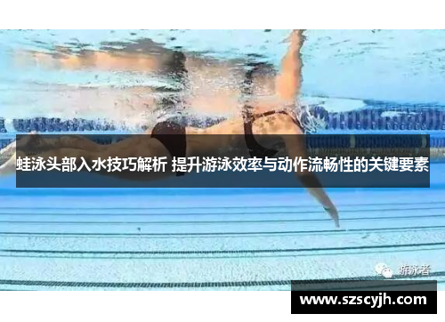 蛙泳头部入水技巧解析 提升游泳效率与动作流畅性的关键要素