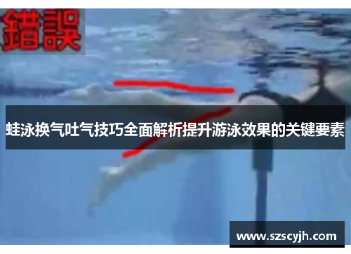 蛙泳换气吐气技巧全面解析提升游泳效果的关键要素