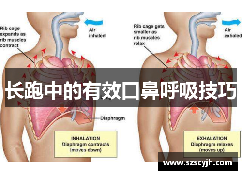 长跑中的有效口鼻呼吸技巧